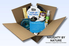 A Naughty by Nature Discovery Kit includes a pop up pool, a food puzzle, a rawhide alternative, waterless shampoo, and a stuffed animal.