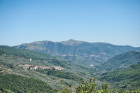 Aceto d'Olio