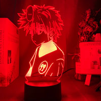 Hunter x Hunter 3D Anime COLOR Lamp | Hunter x Hunter Anime | 3D Illusion Lamp | Gaming Lamp |  Anime Lamps |  Anime GIFTS | Hunter X Hunter Lamps