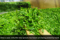 Premium Japanese Green Tea Subscription - the Sencha Lover Premium Japanese Loose Leaf Green Tea Set