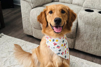 Bandana & Bones (Bimonthly Subscription)