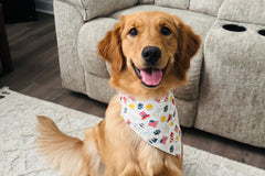Bandana & Bones (Bimonthly Subscription)