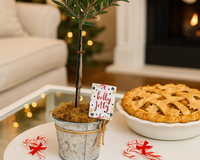 Olive Topiary Tree in Silver Metal Tin with Rope