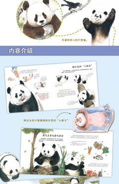 大熊猫“熊生”揭密《哇！大熊猫》