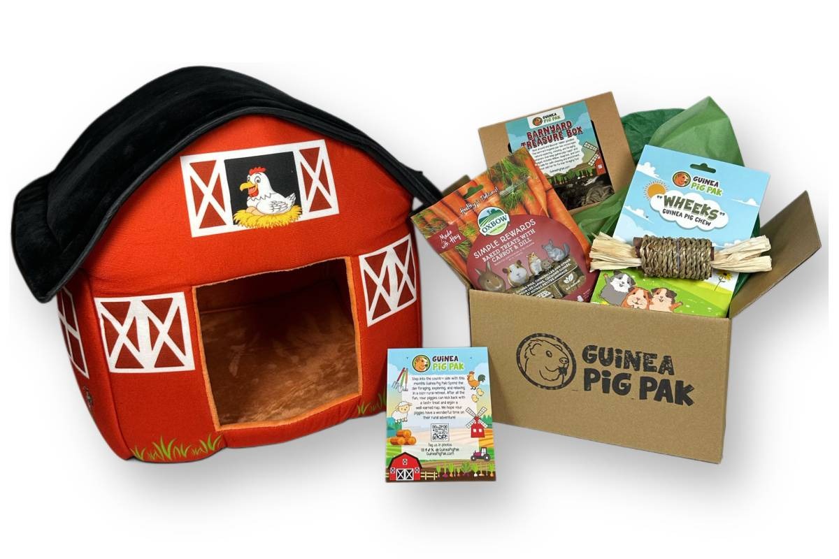Guinea Pig Pak