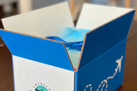 Discover the unique flavors and hidden gems of a different state every month with the American Wanderlust Box!