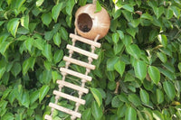 Coconut birdhouse, one of the items in our March 2026 box, "Making Waves." 