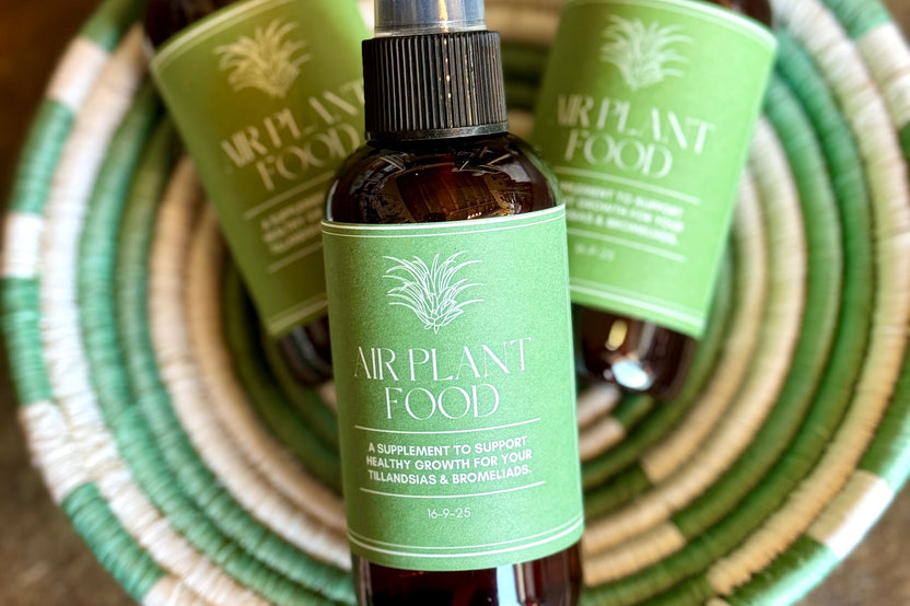 Plant Lovers - Fair Trade Box - One Time Ship Box