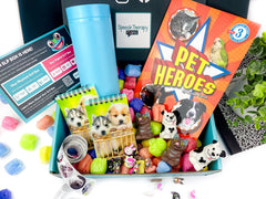 Pet Pals Box 🐶🐱🐦🐹