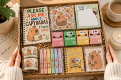 Happy Mail Stationery Club capybara-themed stationery subscription box featuring capybara notebook, stickers, memo pads, washi tape, pens