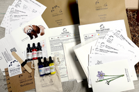 Red Panda and Blue Eyed Grass flower lesson Crate contents including step-by-step instructions, paint and sketchbook.