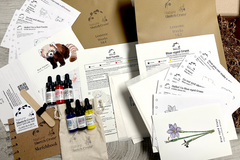 Red Panda and Blue Eyed Grass flower lesson Crate contents including step-by-step instructions, paint and sketchbook.