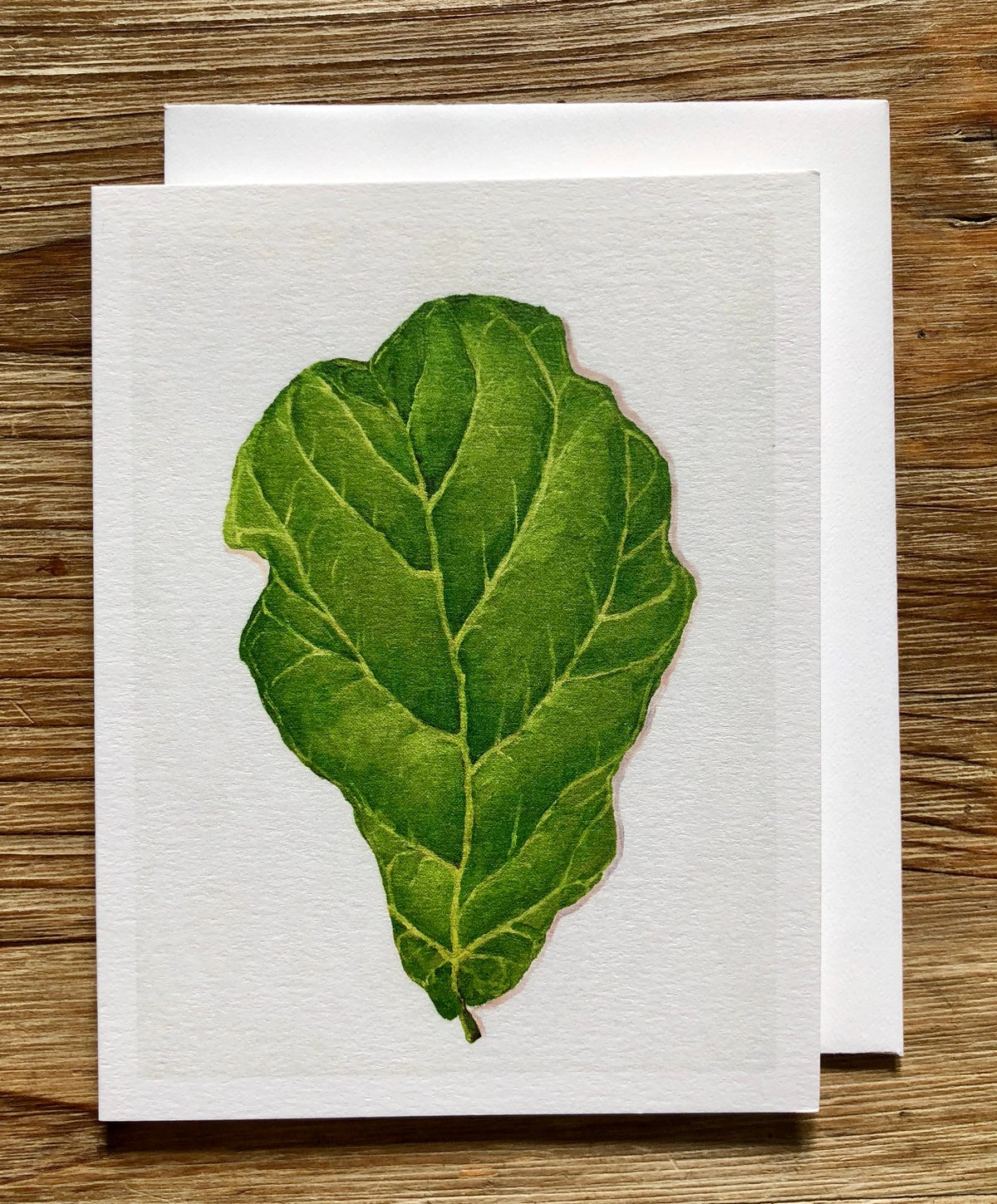 Fiddle Leaf Fig Plant (Oil Painting) Any Occasion Card