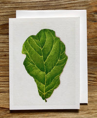 Fiddle Leaf Fig Plant (Oil Painting) Any Occasion Card