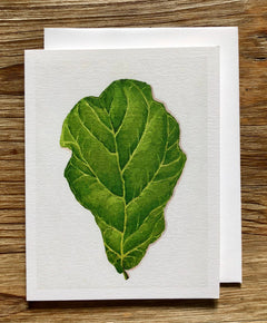 Fiddle Leaf Fig Plant (Oil Painting) Any Occasion Card