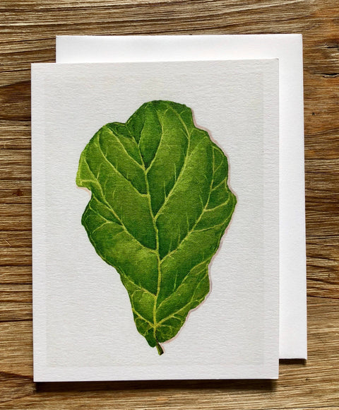 Fiddle Leaf Fig Plant (Oil Painting) Any Occasion Card