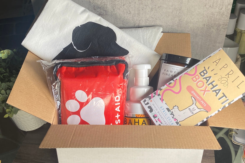 Large Pets & Plants Box for dog and cat lovers : Bahati Box