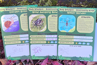 Three completed Bug Badges discovery cards next to a stamped return envelope—kids mail-back nature challenge with 3 monthly bug cards