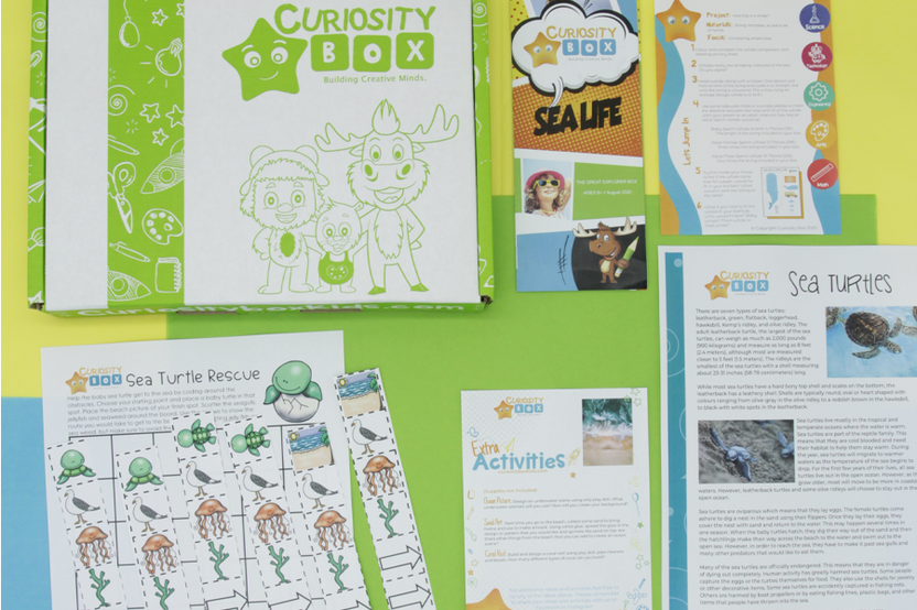 Sea Life Craft & Activity Box for Ages 8+