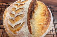 This original sourdough loaf was made using our 1-year old starter. Are you ready to start your sourdough journey?
