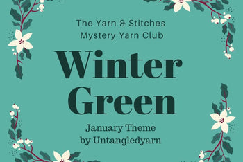 Yarn and Stitches Monthly Luxury Yarn Club