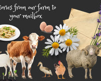 Letters From the Farm