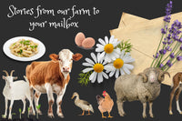 Letters From the Farm