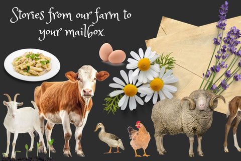 Letters From the Farm