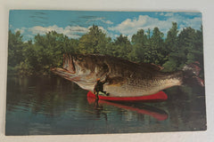 Postcards from the Past Box