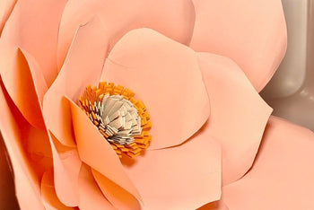 Paper Flower Box