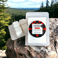 Game Master Soy Candles and Melts - Dark Forests, Friendship, & Adventure