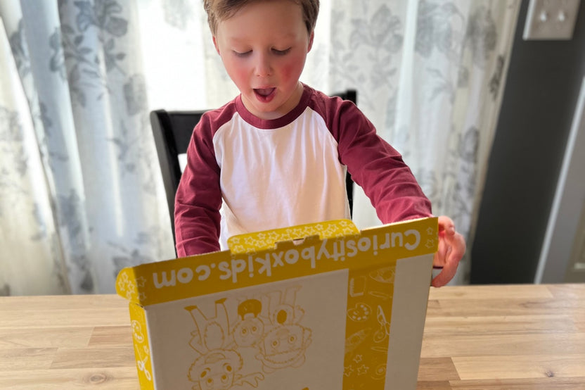 Mystery Craft & Activity Box for Ages 2-4