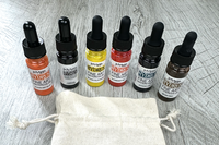 Six, professional quality, PH Martin's Hyrdus liquid watercolor bottles and the bag they come with each monthly lesson crate.