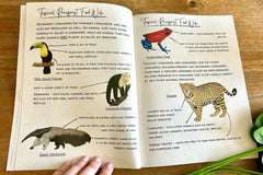 An opened page of the Eco Explorer field notebook featuring some of the rainforest animals such as a toucan, a monkey, and a jaguar.