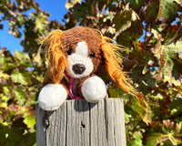 Snorri in the wild. Snorri is sitting on a post in front of some grape leaves showing that snorri travels well. 