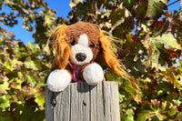Snorri in the wild. Snorri is sitting on a post in front of some grape leaves showing that snorri travels well. 