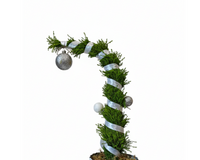 Lemon Cypress Tip Over Tree in Gold Wash Metal Tin