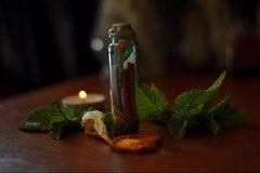 a photo of a spell jar filled with cinnamon sticks and closed with green and gold wax, surrounded by fresh mint, oranges and a bird skull