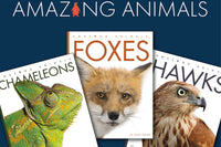 Featuring the three titles, Chameleons, Foxes and Hawks. Explore the wild animal kingdom with this best selling collection.