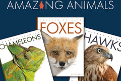 Featuring the three titles, Chameleons, Foxes and Hawks. Explore the wild animal kingdom with this best selling collection.