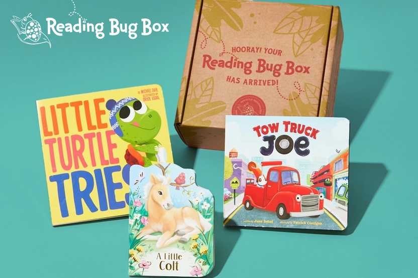 Reading Bug Box for Babies & Toddlers