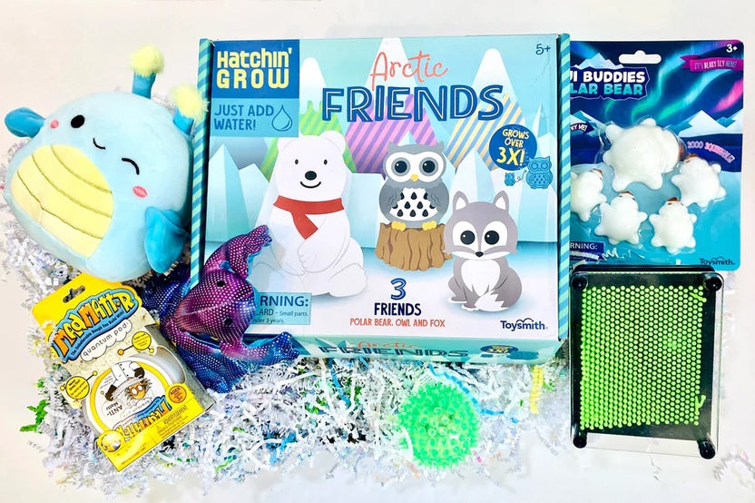 Winter box of sensory toys with Arctic grow friends, kiji buddies, Madmattr putty, pin print,     weighted toy, squishables, spiky ball 💚
