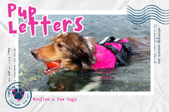 Example of one of the many postcards that Snorri sends. This one shows her swimming which is one of her favorite things to do! 