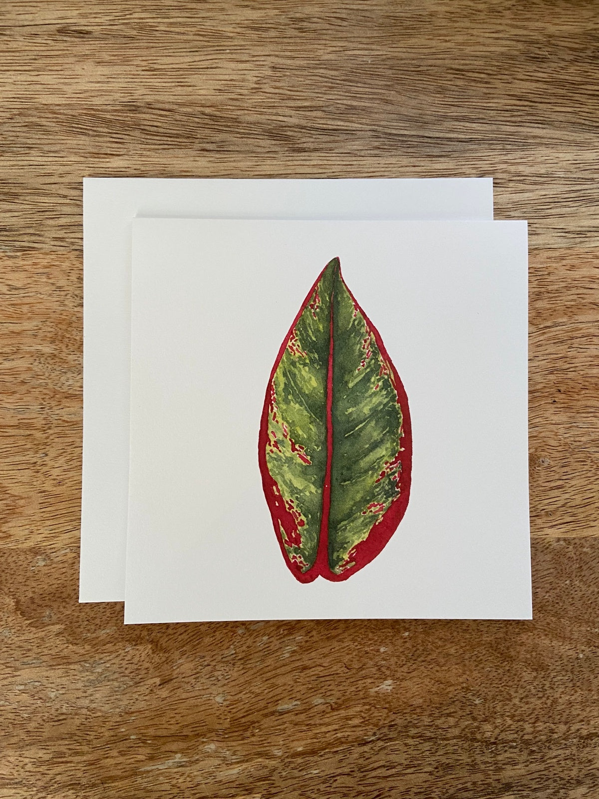 Chinese Evergreen Any Occasion Card