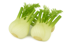 Herb Bundle: 12 Ready-to-Plant Seedlings, Starts, Plugs, Garden Ready, Live Plants, Transplants, Pre-sprouted, for Soil & Hydroponic gardens
