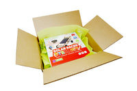 BrainStorm STEM Kit Subscription