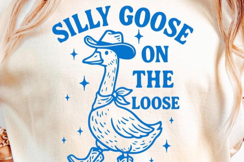 Silly Goose Box