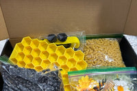 Themed Sensory Play Subscription Box