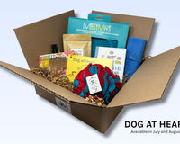 Discovery Kits - Learn, Play, & Grow with Your Dog!