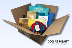 A Dog at Heart Discovery Kit includes two food puzzles, a training mat, a book on body language, treats, and a treat pouch.